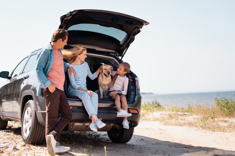 Auto Insurance